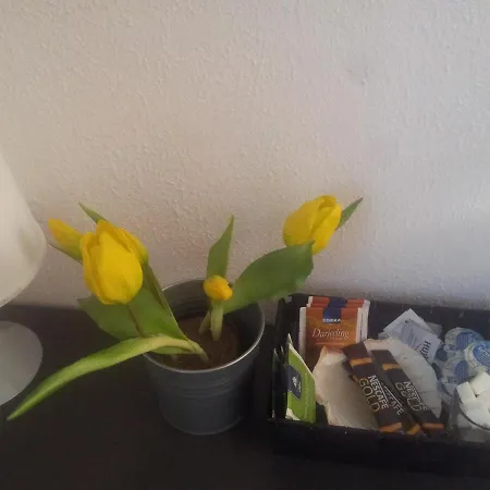 Relax Aachener Boardinghouse Budget بيت ضيافة آخن