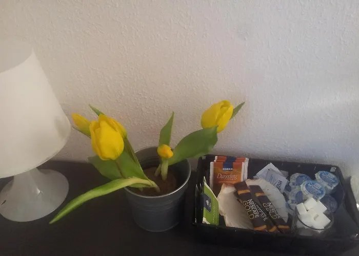 Relax Aachener Boardinghouse Budget Affittacamere Aquisgrana